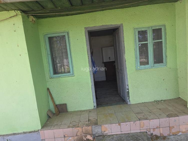 Proprietar unic vând direct, casă/gospodărie completă în comuna Adâncata, IL - 9