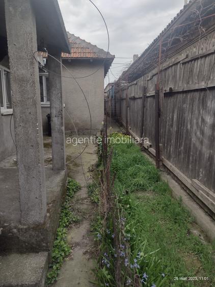 Palazu Mare Casa la sol teren 900 mp - 7