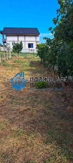 MINERI - CASA 3 CAMERE SUPRAFATA 96 MP, TEREN 850 MP - 6