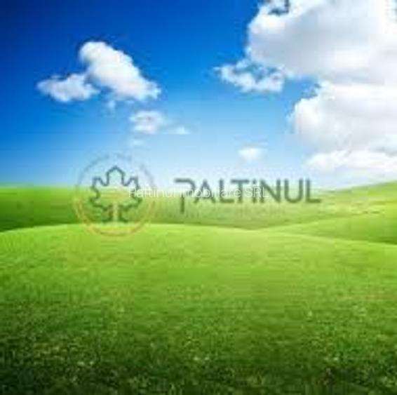 Teren de vânzare – Poplaca, Sibiu - 10