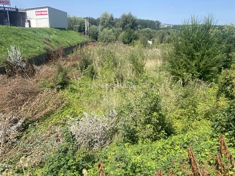 Teren Industrial | Scheia | 80m Front - 3