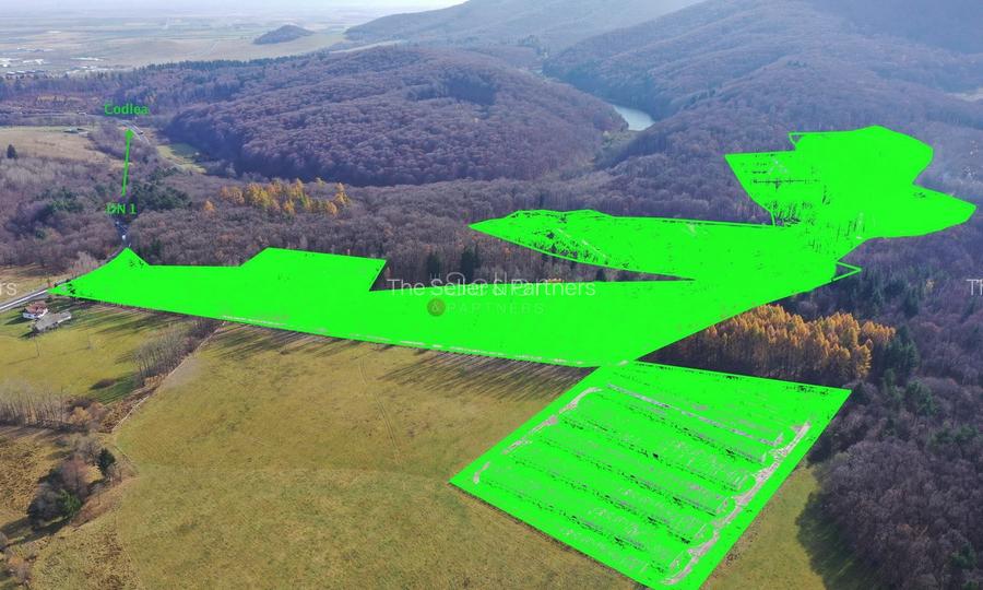 Teren Intravilan - Amplasare Unica - 24