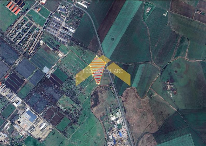 Teren 21,000 mp intravilan de vanzare centura de nord Arad - 2