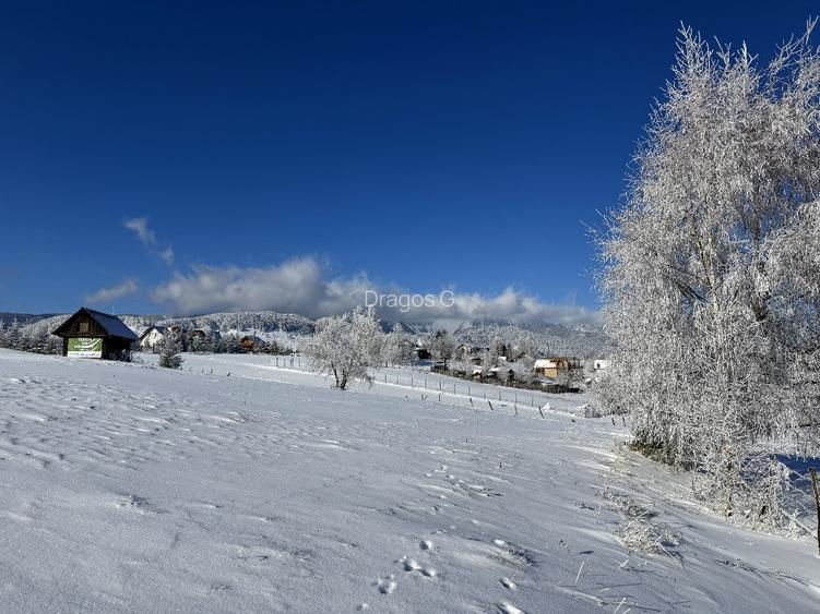 Teren satul Sirnea, intravilan, deschidere 120 m la drum asfaltat,  - 11