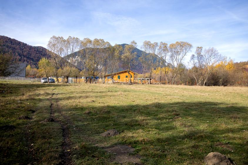 Teren intravilan 5723mp Zarnesti Tohanita- case de vacanta,investitie in turism - 6