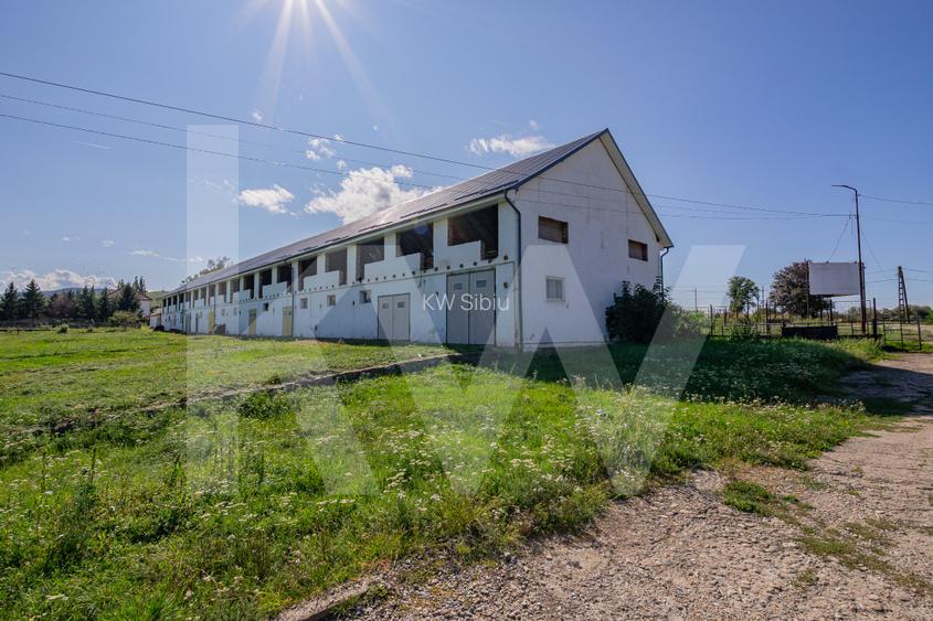 Proprietate industrială cu hale moderne, teren generos și acces Autostrada A1 - 13