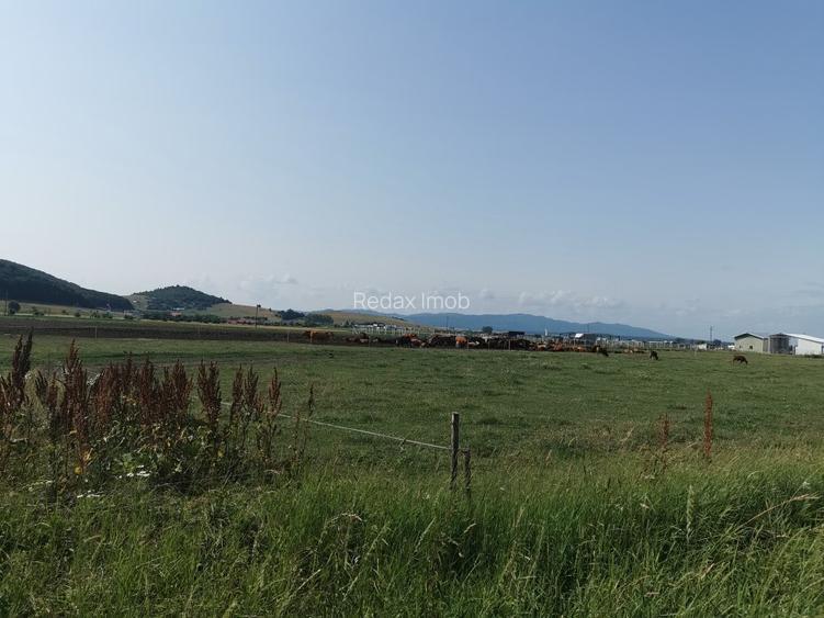 Teren intravilan industrial pentru constructie hale Codlea - 2