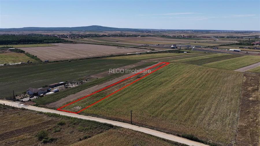 RECO Teren Intravilan Osorhei - 4