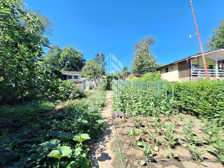 Cabana cu 3 camere, 392 mp teren, 3 Insule - 7