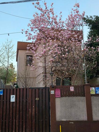 Vilă individuală P+1, 140 mp, curte 240 mp – Parcul Circului | Direct proprietar - 2