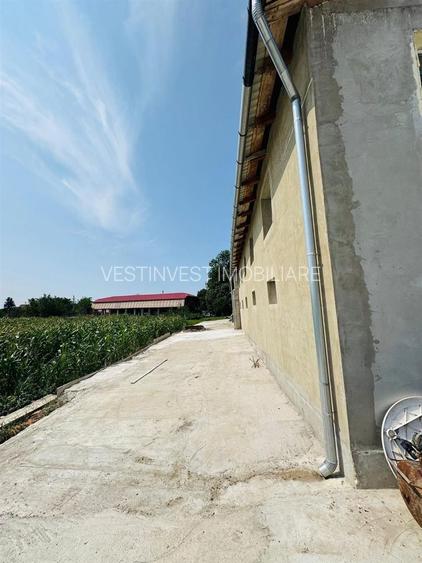 Hala 373 mp + teren in Santaul Mic - 6