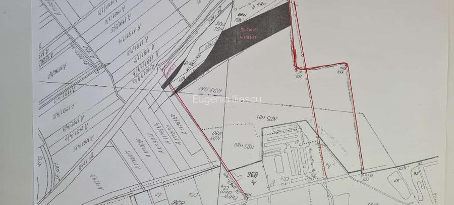 Teren intravilan, agricol, in TIMISOARA - Freidorf: 31.028m² - 2