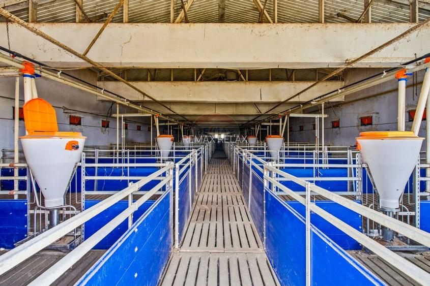 POZIȚIE STRATEGICĂ cu Potențial Major de Exploatare și Reconversie - 28