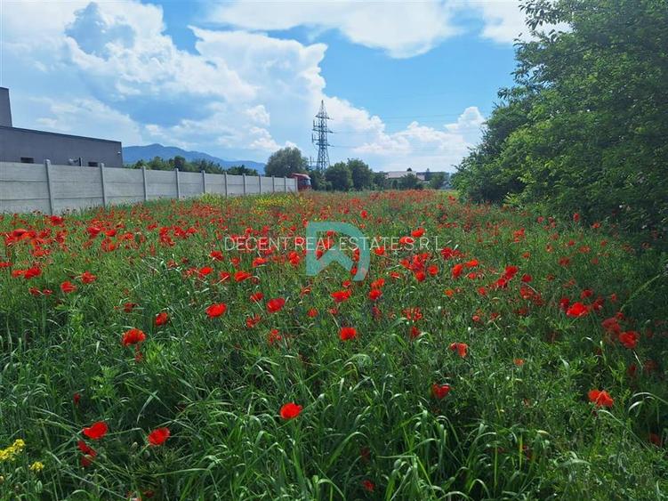 Teren intravilan de vanzare Bartolomeu  Brasov - 6