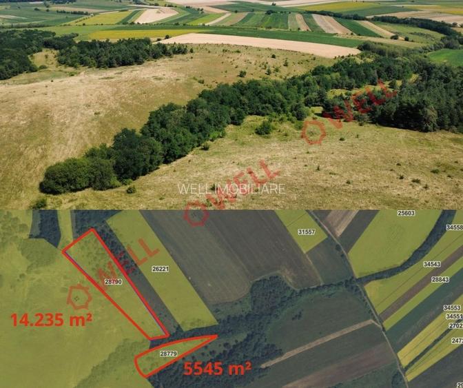 De vânzare 8 parcele de teren extravilan în apropierea localității Măgheruș! - 6