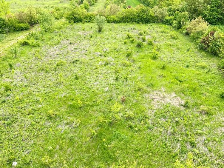 Snagov /Terenuri Parcelate langa Padure cu Utilitati/  Canalizare/ 500-2500 Mp - 2