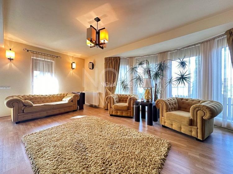 Casa individuala de vanzare - Sura Mare - 19
