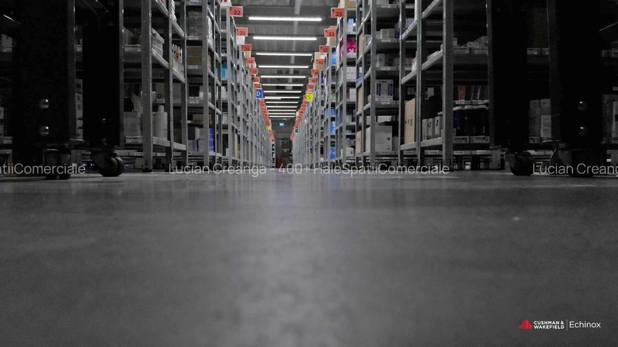 Hala 3026mp, teren 13653mp, Dumesti - 2