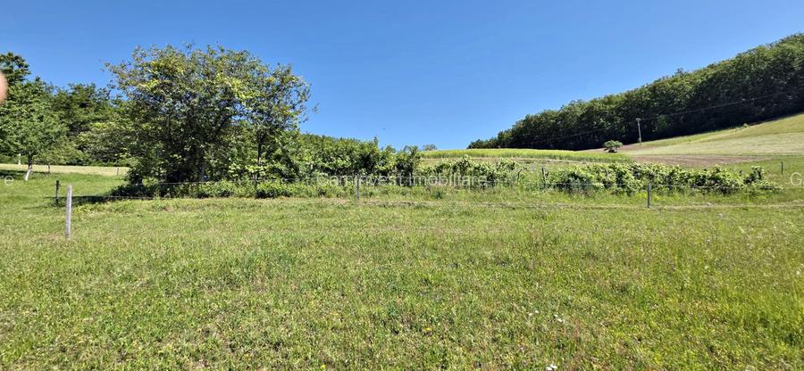 Casa de vanzare si teren de 24000 mp in Fasca, langa padure, 45 km de Oradea - 3