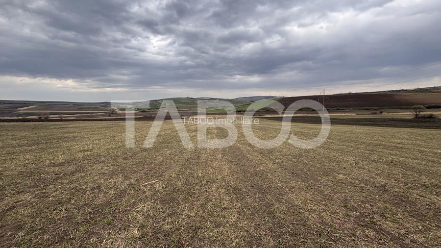 OPORTUNITATE INVESTITIE Teren de vanzare Sura Mare 24000 mp - 5