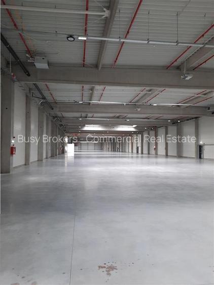 Spatiu Industrial - 2500  mp - Productie - Depozitare - 5