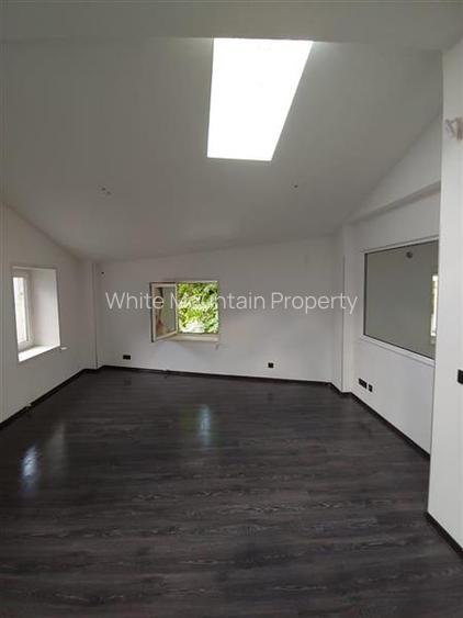 Spatiu comercial 300 mp, inchiriere/vanzare, Eminescu - 13