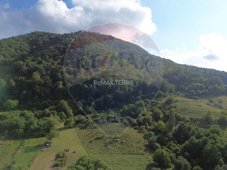 Teren de vânzare cu Panorama, Măgureni - 9