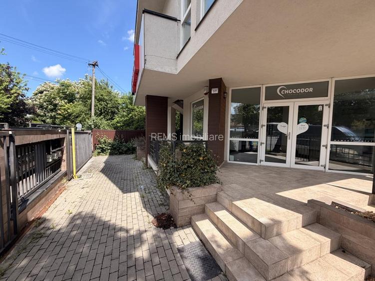 Spatiu comercial cu terasa, Constantin Brancusi - 11