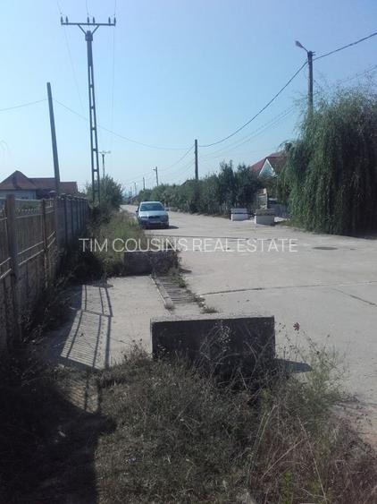 Teren, loc de casă, vânzare 3500 mp Cornesti-Bălești-Gorj, 2 euro mp - 5