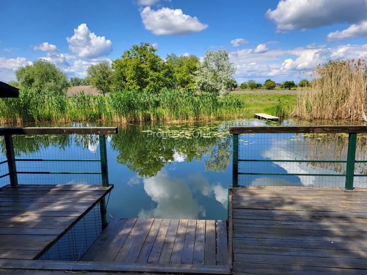 Dimineți pe ponton, seri la piscină – viața la Snagov. - 12