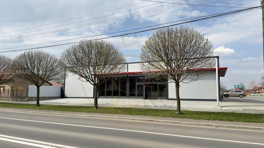 Spațiu Comercial Open Space 296 mp / B-dul 25 Octombrie / Carei - 11