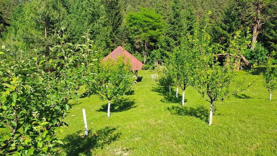 Teren intravilan in Sacele (Brasov), 2000 mp cu livada, foișor, apa, curent - 5