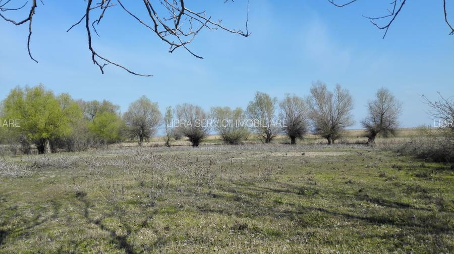 Teren Intravilan  or. Sulina - 6