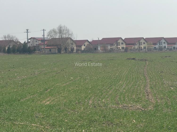 OCAZIE! TEREN IDEAL PENTRU BLOCURI CU REGIM MIC DE INALTIME/ VILE/DUPLEXURI - 3