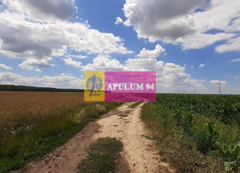 Teren 715mp în Snagov lângă Equestria - 56