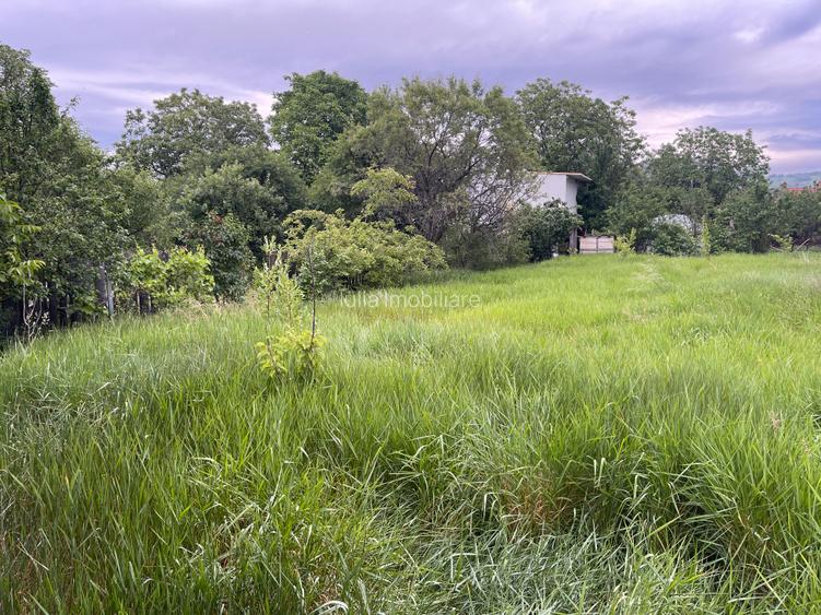 Teren intravilan Tarlungeni - 6