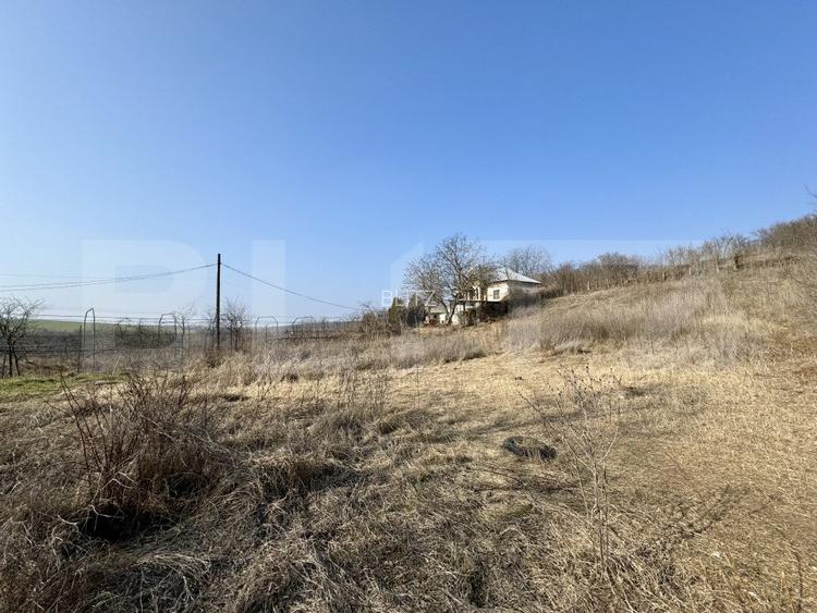 Conac cu teren intravilan 8759 mp, priveliste panoramica, Ciutura - 14