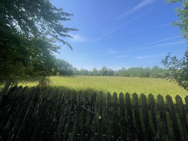 Teren Premium 1559 mp, Brebu Manastirei - Refugiu Montan la 120 km de Bucuresti, - 3