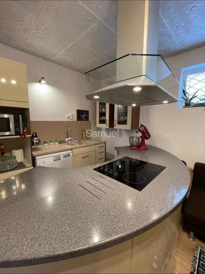 Casa in localitatea Lovrin - 11