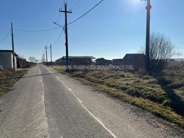 Gradistea- Ilfov, str. Nuferilor - 1000 mp - 10