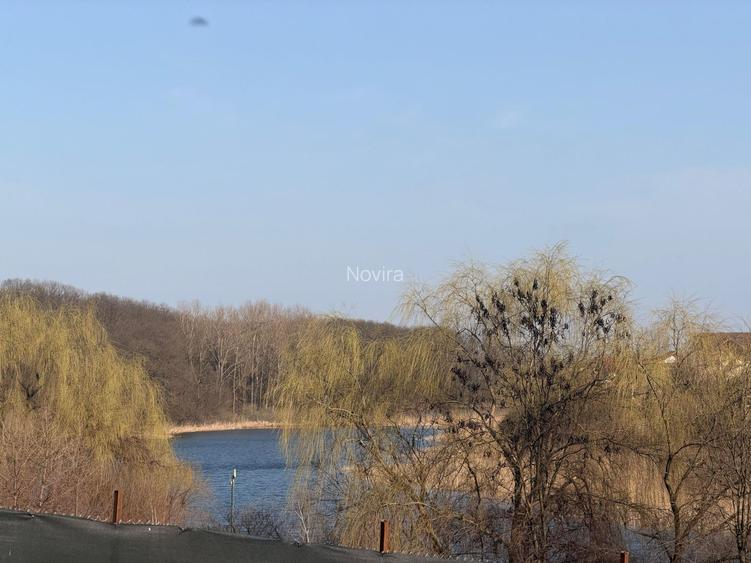 TEREN CU DESCHIDERE LA LAC / LA DOAR 100 M DE PADURE / UTILITATI - 8