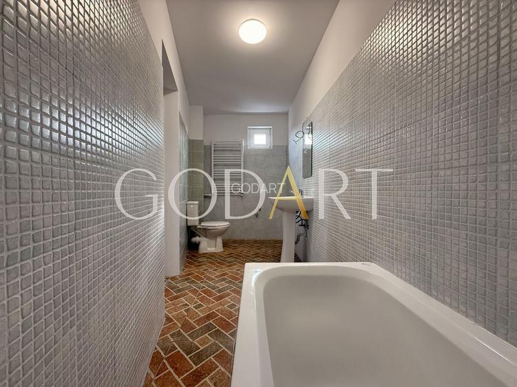 Oportunitate | Vila individuala | Curte | Tei - 22