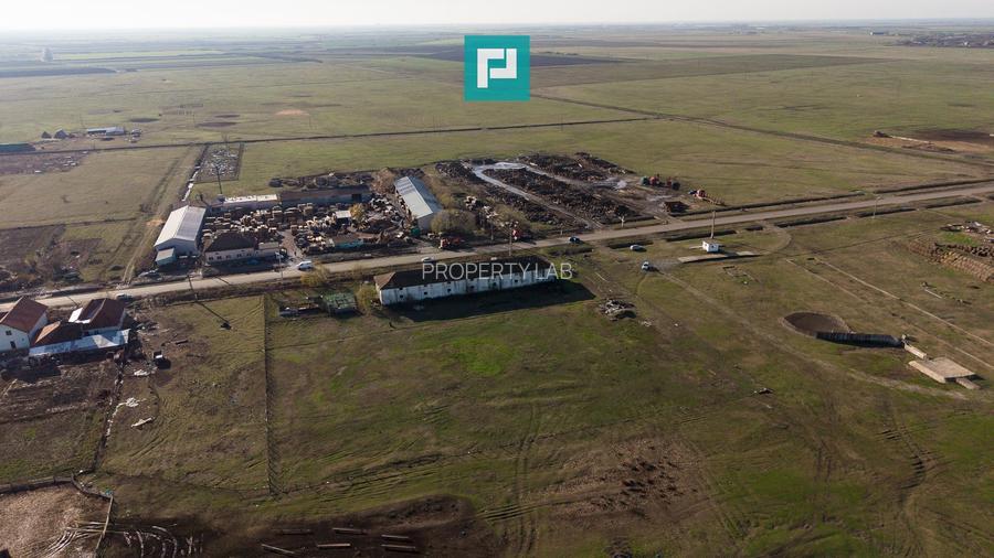 Hală industrială cu teren generos în Zărand, Arad - 30