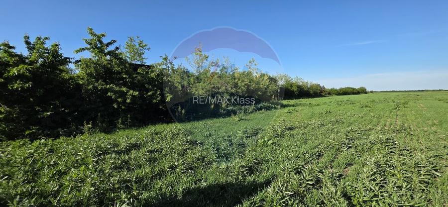 Teren de vanzare – 9458 mp – Bujoreanca Comuna Cornesti - 4
