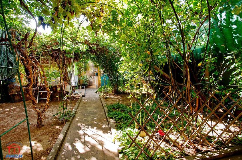 Vila cocheta, situata in centrul istoric al orasului - 22