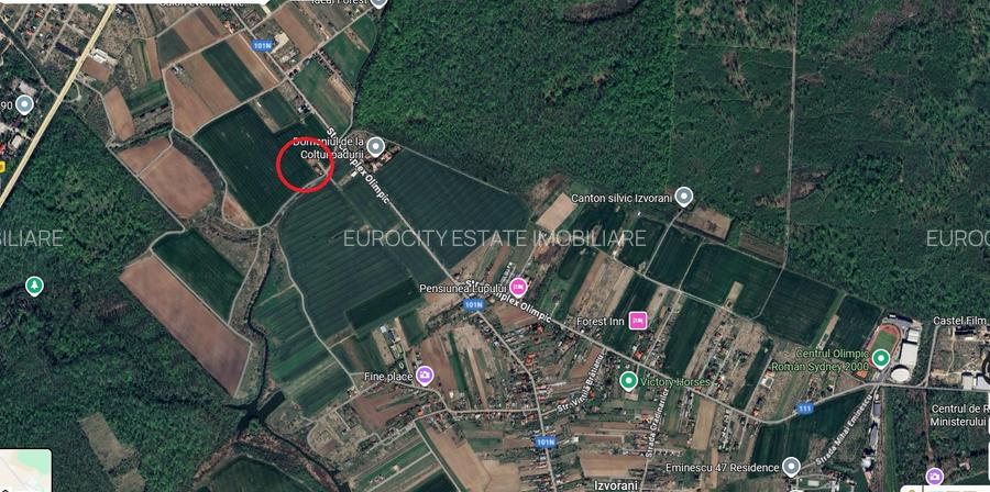 Ciolpani, spre Izvorani - COR, vanzare teren 5000mp. - 5