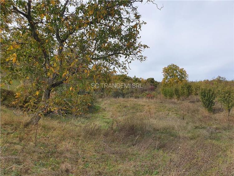 Casă Tradițională Săsească ?n loc.Aciliu cu 2974mp tere - 24