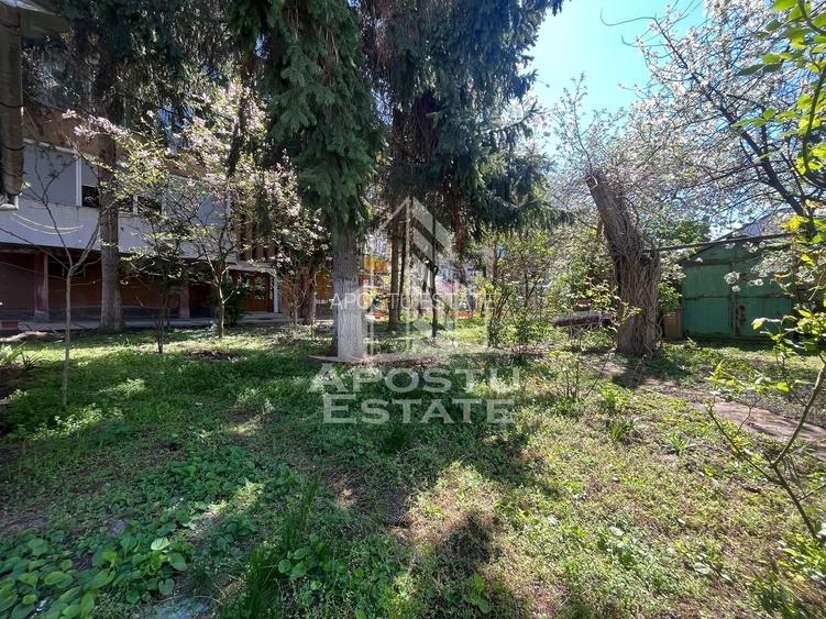 Apartament 4 camere, Malul Muresului - 7