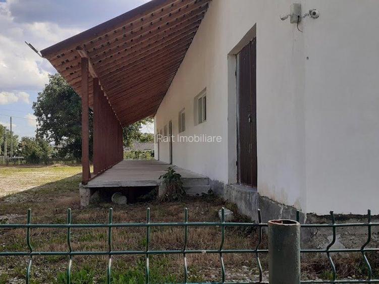 Hala de Inchiriat Godeni Arges - 5