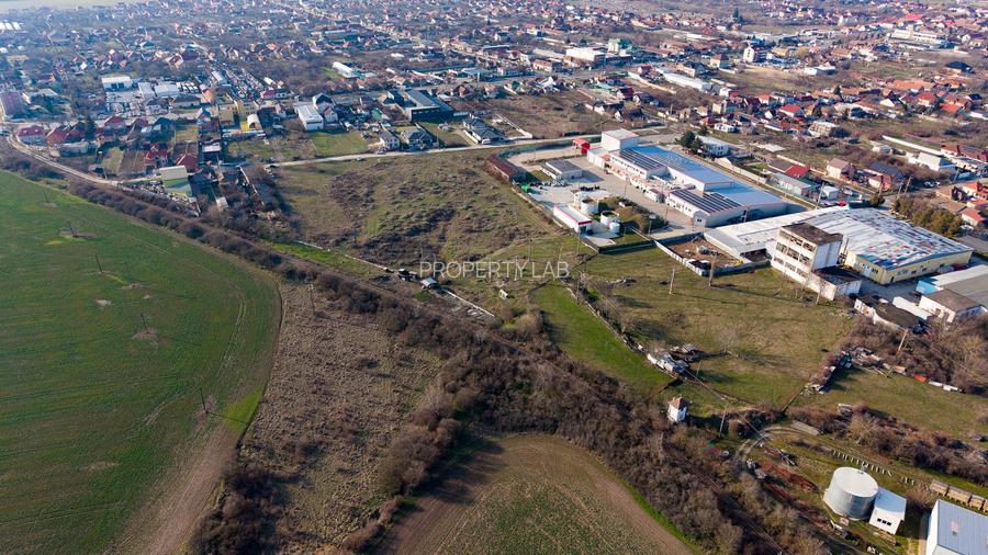 Teren intravilan 22.730 mp Arad - 19